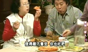 搞笑一家人国语版全集完整版,笑料横生的家庭喜剧全记录